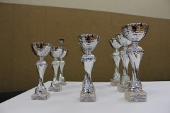 puchary Turnieju Piłki Siatkowej z okazji 20-lecia Powiatu Wschowskiego