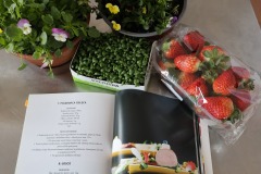 669572426_1583350333798329_8838631230220448473_n