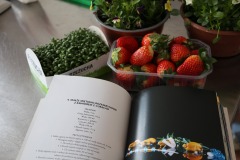 669624406_1583350247131671_3477230048928251354_n