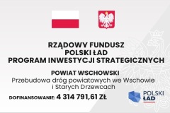 logo RFPŁ