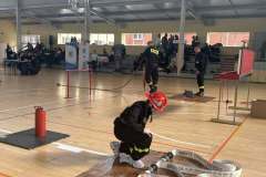 649247224_1235281402153819_890683985527034630_n