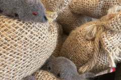 Powiatoto-Gminne-Swieto-Plonow-Olbrachcice-23.08.2025-r-124