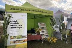 Powiatoto-Gminne-Swieto-Plonow-Olbrachcice-23.08.2025-r-25