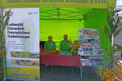 Powiatoto-Gminne-Swieto-Plonow-Olbrachcice-23.08.2025-r-27