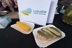 Powiatoto-Gminne-Swieto-Plonow-Olbrachcice-23.08.2025-r-3