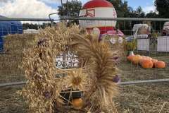 Powiatoto-Gminne-Swieto-Plonow-Olbrachcice-23.08.2025-r-51