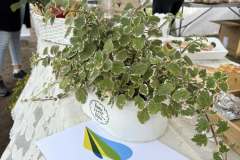 Powiatoto-Gminne-Swieto-Plonow-Olbrachcice-23.08.2025-r-6