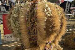 Powiatoto-Gminne-Swieto-Plonow-Olbrachcice-23.08.2025-r-82