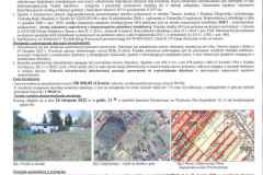 Przetarg - Tarnów Jezierny