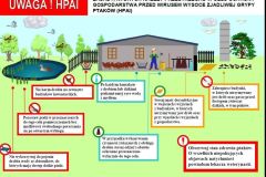 Zasady ochrony gospodarstw przed wirusem ptasiej grypy.