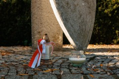Szkola-do-hymnu-I-LO-6.11.2025-r.-65