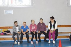 reprezentacji klas I - III Szkół Podstawowych z terenu powiatu