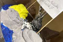 Wladze-powiatu-w-I-LO-27