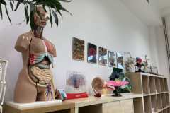 Wladze-powiatu-w-I-LO-28