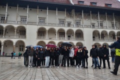 Zwiedzanie Zamku Królewskiego na Wawelu