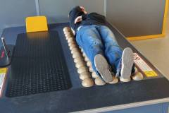 601809278_1445962970579748_1968643616938342380_n