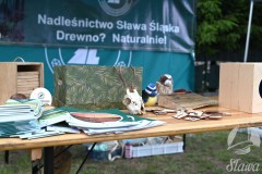 518355553_1160382059450387_8456318000668357907_n