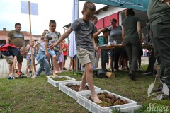 518388578_1160383109450282_5681525071398421376_n