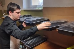 przygotowywanie się do sadzenia